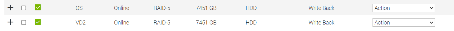Raid Disk